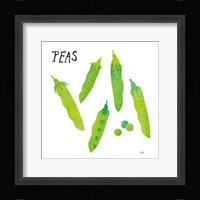 Kitchen Garden III Fine Art Print