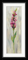 Single Stem Flower IV Framed Print