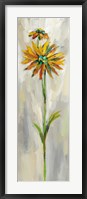 Single Stem Flower III Fine Art Print