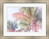 Dream Palm I Fine Art Print
