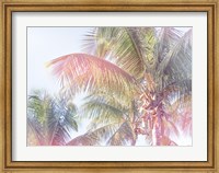 Dream Palm I Fine Art Print