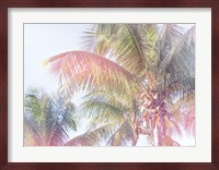 Dream Palm I Fine Art Print