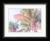 Dream Palm I Fine Art Print