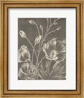 Botanical Beauty Chalk IX Crop Fine Art Print