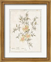 Flowers on White II with Words Fine Art Print