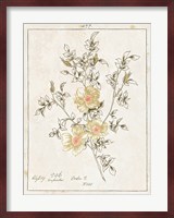 Flowers on White II with Words Fine Art Print