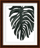 Tropical Palm II BW Fine Art Print
