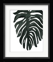 Tropical Palm II BW Framed Print