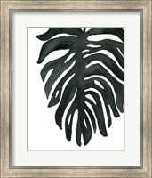 Tropical Palm II BW Fine Art Print