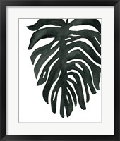Tropical Palm II BW Framed Print