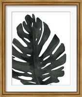 Tropical Palm I BW Fine Art Print