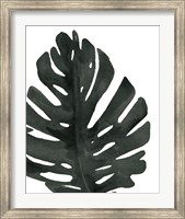 Tropical Palm I BW Fine Art Print