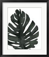 Tropical Palm I BW Framed Print