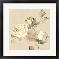 Rose Blossoms Crop Framed Print