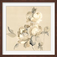 Peony Blossoms Crop Fine Art Print