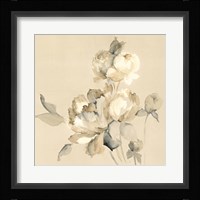 Peony Blossoms Crop Framed Print
