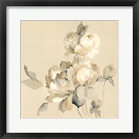 Peony Blossoms Crop Framed Print