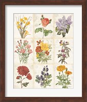 Flowers of the Month 9 Patch Fine Art Print