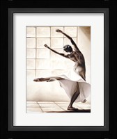 Dance Finesse Fine Art Print