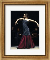 Encantado por Flamenco Fine Art Print