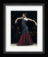 Encantado por Flamenco Fine Art Print