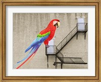 Escape from your cage Fine Art Print