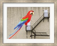 Escape from your cage Fine Art Print