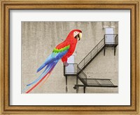 Escape from your cage Fine Art Print