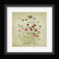 Flower Print Three Framed Print
