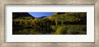 Fall Colors Reflected in Water with Mountains in the Background, Colorado Fine Art Print