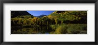 Fall Colors Reflected in Water with Mountains in the Background, Colorado Fine Art Print