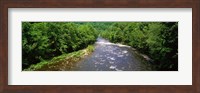 River Passing through a Forest, Pigeon River, Cherokee National Forest, Tennessee Fine Art Print