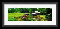 Trees around a Watermill, Mabry Mill, Blue Ridge Parkway, Floyd County, Virginia Fine Art Print
