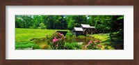 Trees around a Watermill, Mabry Mill, Blue Ridge Parkway, Floyd County, Virginia Fine Art Print