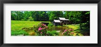 Trees around a Watermill, Mabry Mill, Blue Ridge Parkway, Floyd County, Virginia Fine Art Print