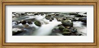 Rocks in Little Pigeon River, Great Smoky Mountains National Park, Tennessee Fine Art Print