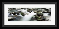 Rocks in Little Pigeon River, Great Smoky Mountains National Park, Tennessee Fine Art Print