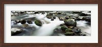 Rocks in Little Pigeon River, Great Smoky Mountains National Park, Tennessee Fine Art Print