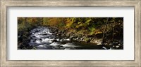 River Flowing through a Forest, Chittenango Creek, New York State Fine Art Print
