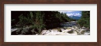 Stream flowing through a Forest, Little Niagara Falls, Maine Fine Art Print