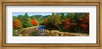 River flowing through a Forest, Swift River, White Mountain National Forest, New Hampshire Fine Art Print
