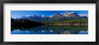 Reflection of Mountains in Herbert Lake, Banff National Park, Alberta, Canada Fine Art Print