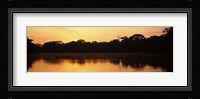 Reflection of Trees in Napo River, Oriente, Ecuador Fine Art Print
