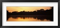 Reflection of Trees in Napo River, Oriente, Ecuador Fine Art Print