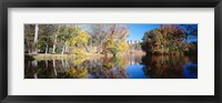 Reflection of Trees in a lake, Biltmore Estate, Asheville, North Carolina Fine Art Print
