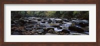 Rocks in a River, Great Smoky Mountains National Park, Tennessee Fine Art Print