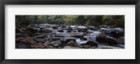Rocks in a River, Great Smoky Mountains National Park, Tennessee Framed Print