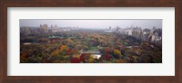 Trees in a Park, Central Park, Manhattan Fine Art Print