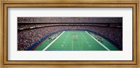 Giants Stadium, New Jersey Fine Art Print