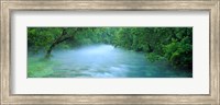 Creek flowing through a Forest, Ozark National Scenic Riverways, Ozark Mountains, Missouri Fine Art Print